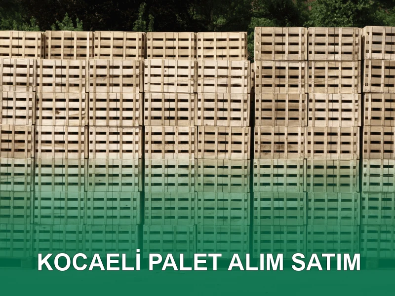 Kocaeli Palet Galeri 3