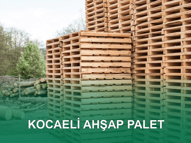 Kocaeli Palet Galeri 4